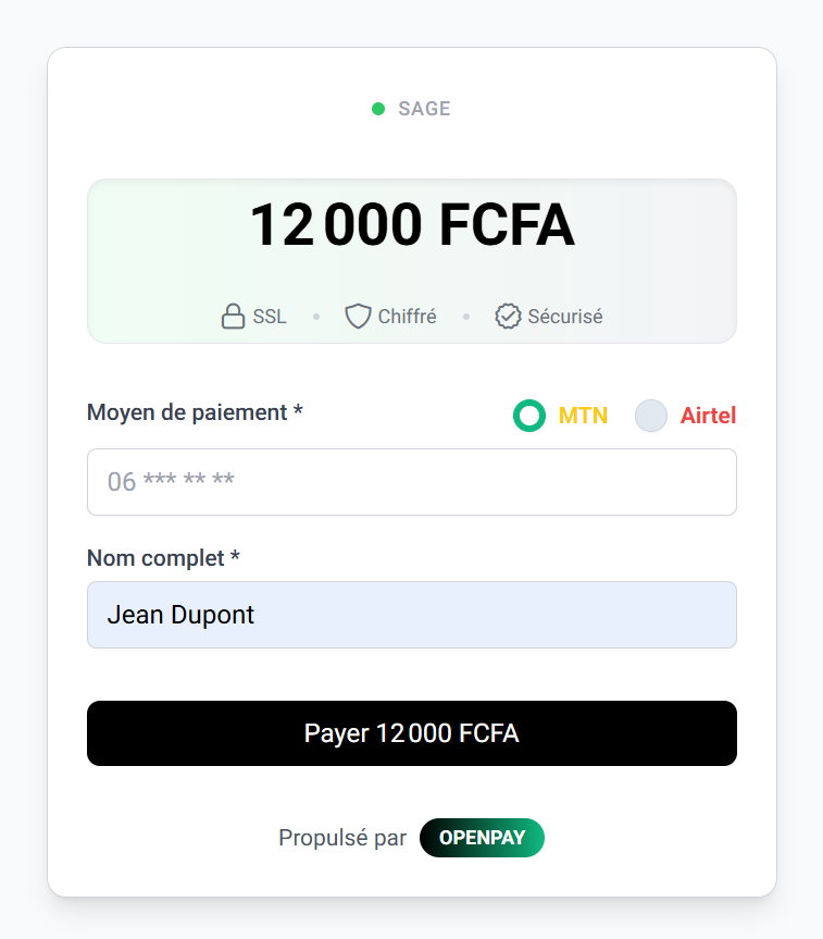 Aperçu du formulaire de paiement OpenPay